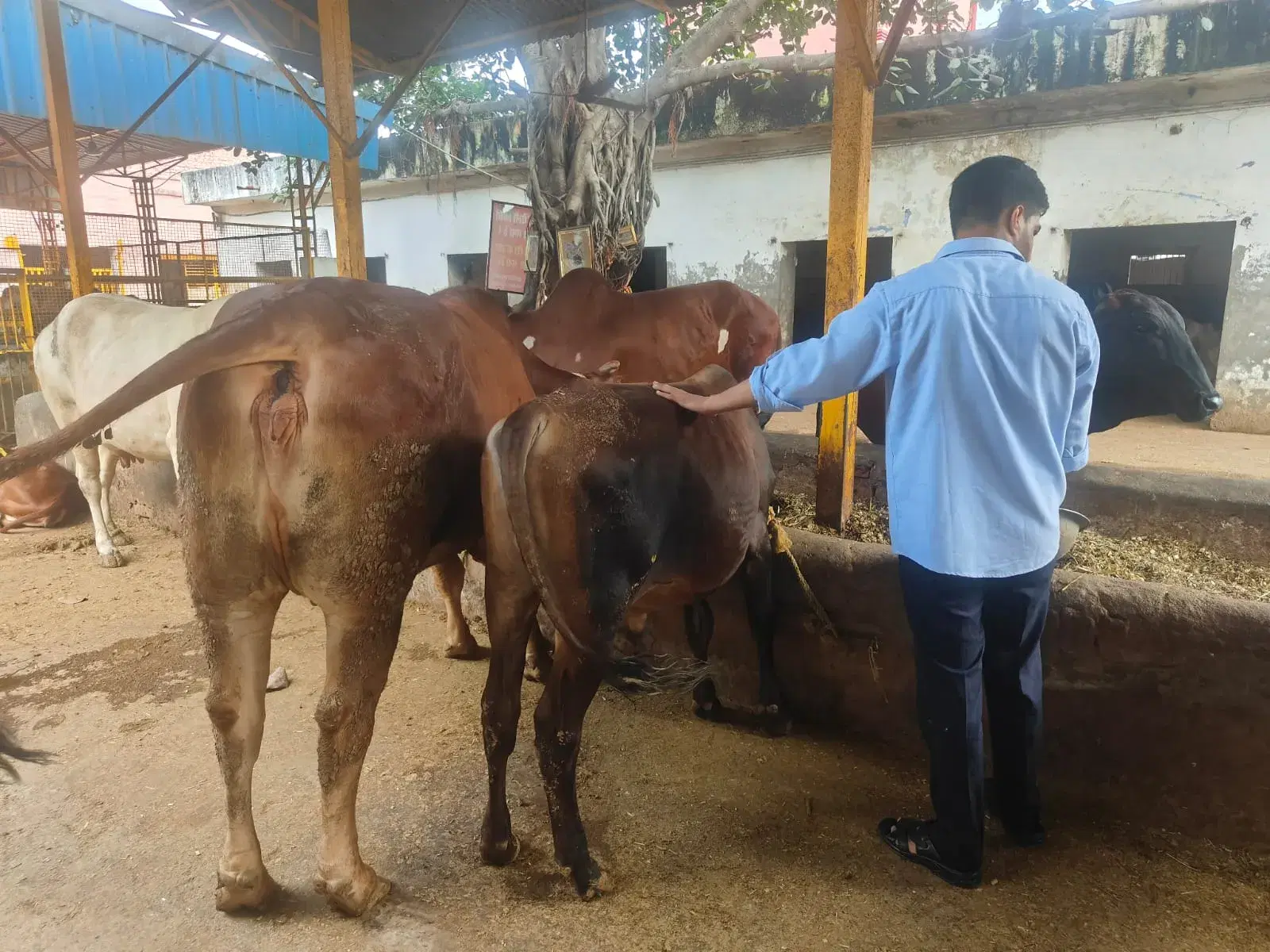 Sacred rituals and ceremonies